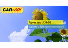 Горячее лето с Car-Go