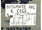 Котятки из приюта всех мастей. Мохнатым шалунам нужен дом
